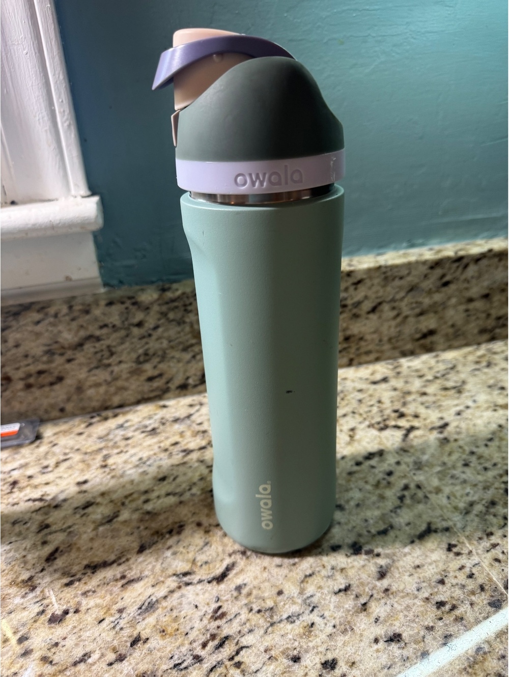 Owala water bottle grey purple green